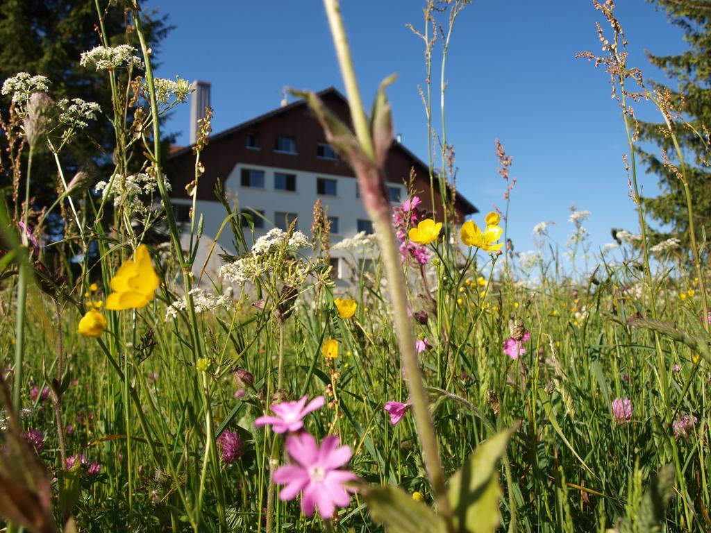 La Roche Du Tresor Village Vacances Longevilles-Mont-dʼOr 외부 사진